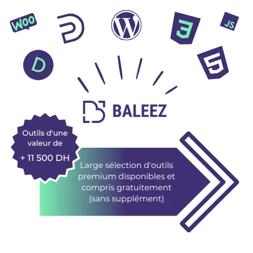 Outils de développements web proposés par l'entreprise Baleez pour les projets web des clients.