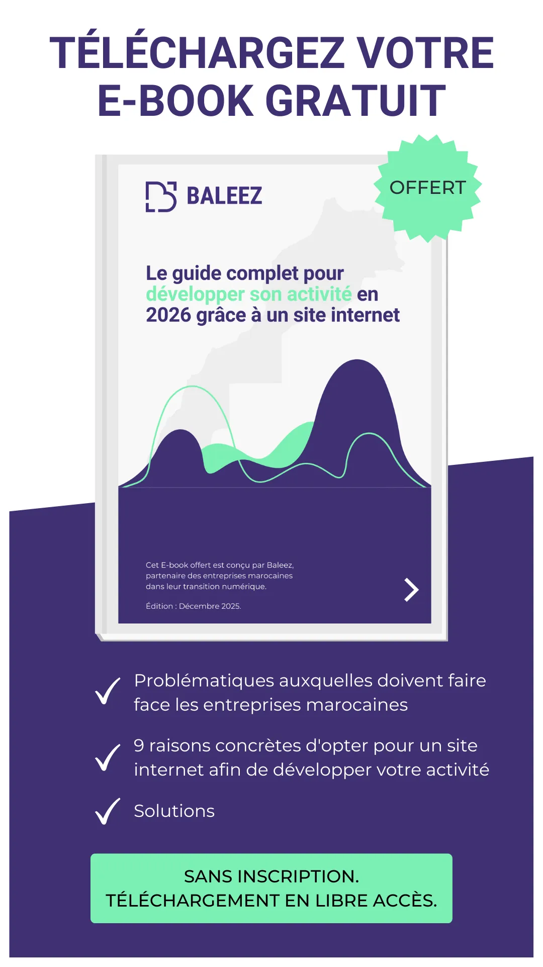 Couverture de l'e-book de Baleez : le guide complet pour développer son activité en 2026 grâce à un site internet.