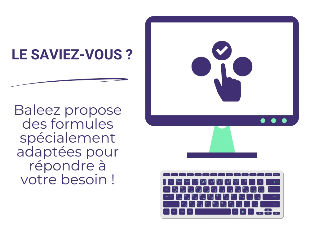 Formules web disponibles chez l'entreprise Baleez (sous forme de packs et de tickets).