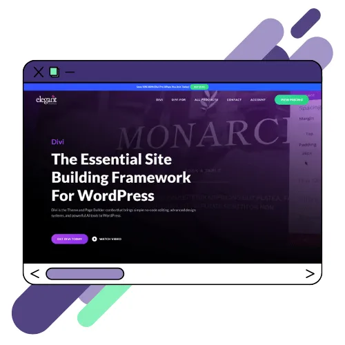 Outil Divi utilisé chez Baleez.