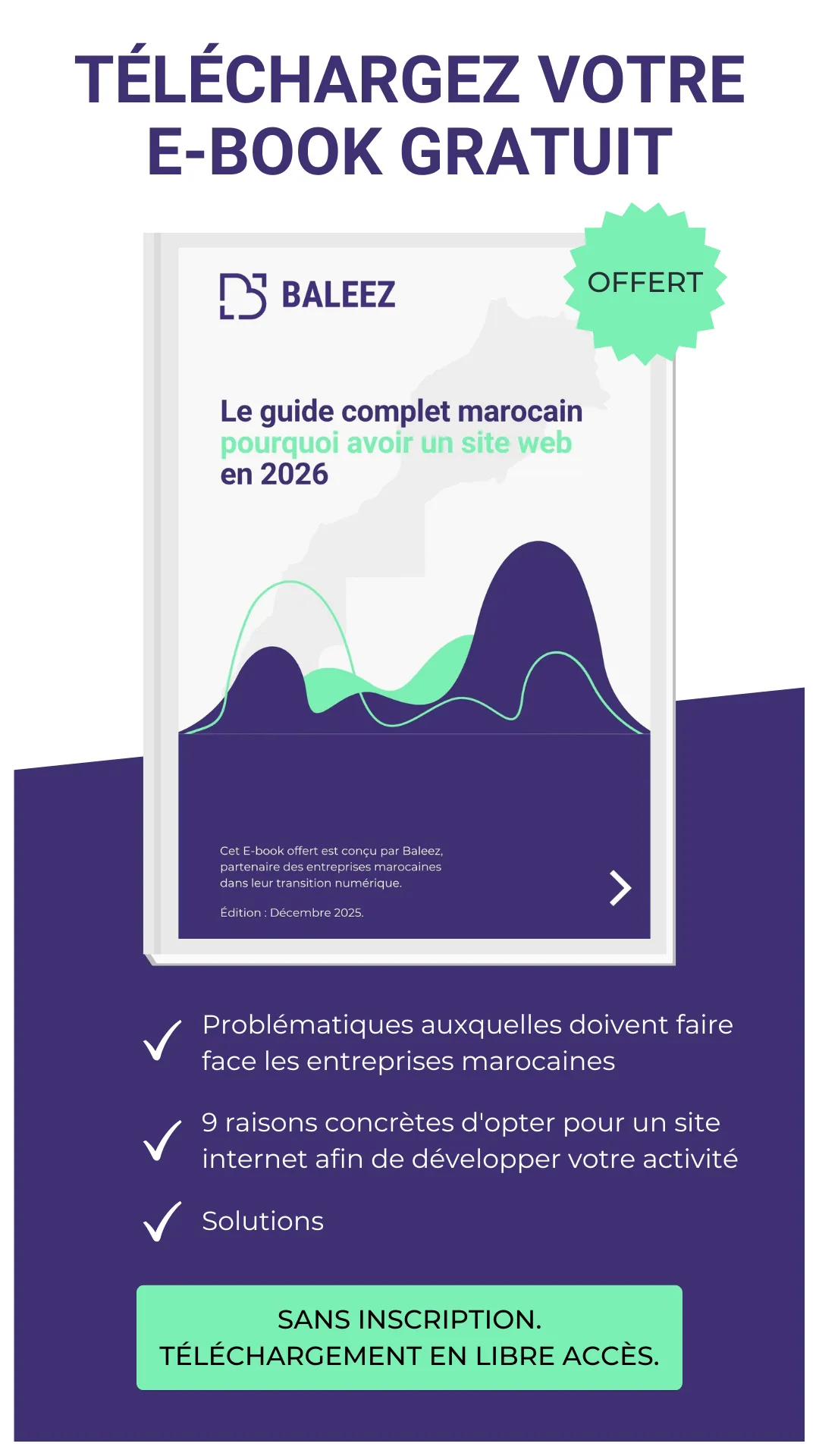 Couverture de l'e-book de Baleez : le guide complet marocain pourquoi avoir un site web en 2026.